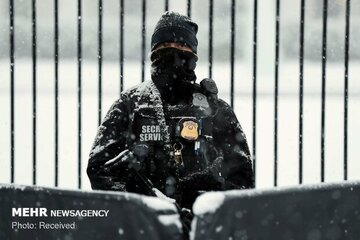 Trampın Florida kurortunda təhlükəsizlik hadisəsi