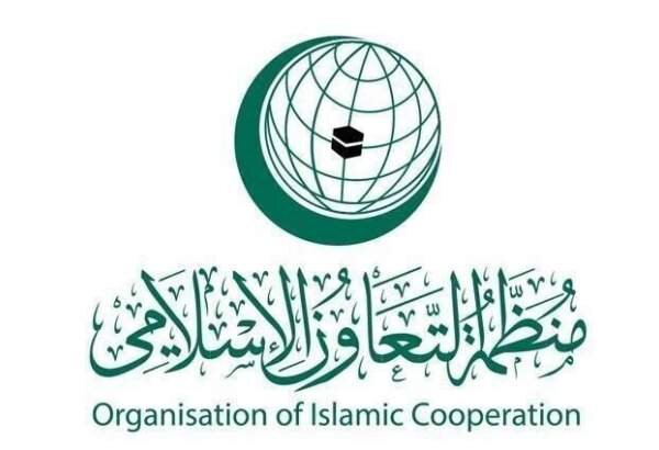 OIC condemns Israeli envoy’s “biblical right” claim to expand occupation
