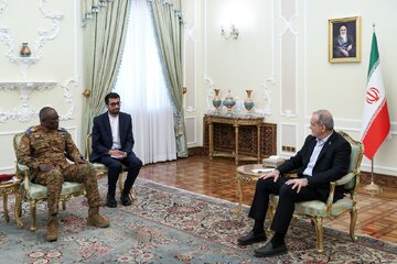 ایران اور افریقہ کے تعلقات حکمتِ عملی اور باہمی مفاد پر مبنی ہیں:ایرانی صدر