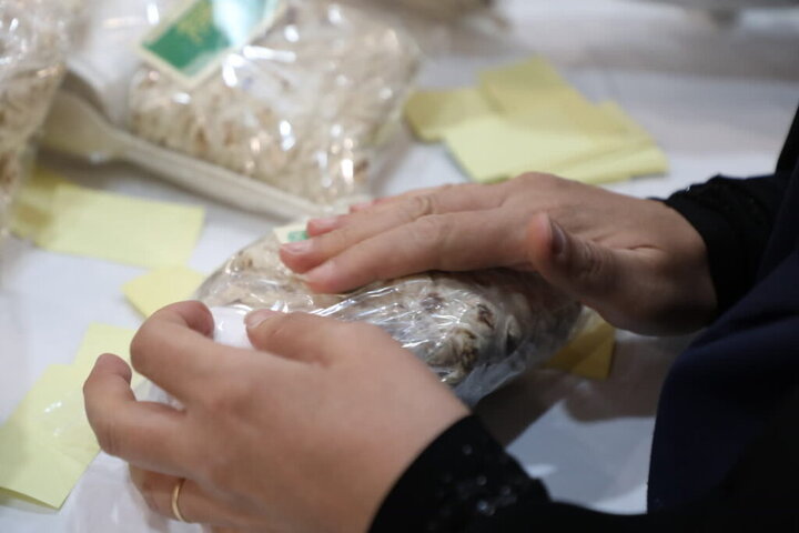 بازدید آیت‌الله سعیدی از روند آماده‌سازی افطاری حرم حضرت معصومه(س)