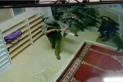 Israeli Military Dog Attacks Palestinian inside Mosque