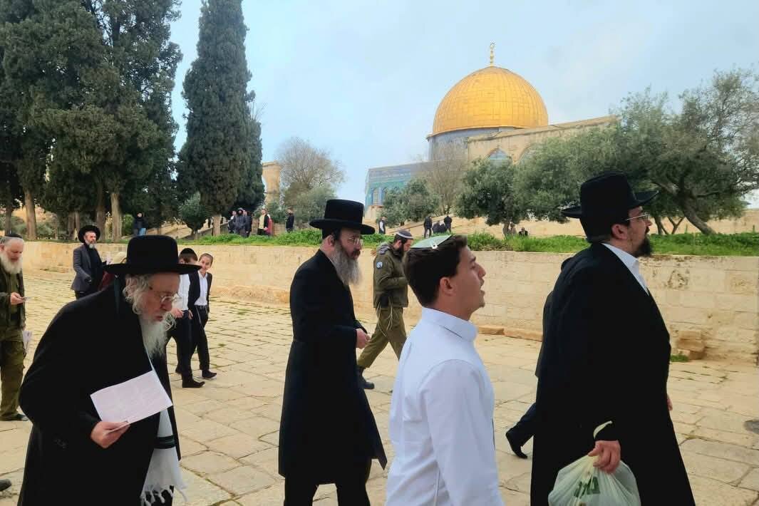 Extremist Jewish Settlers resume Aqsa Mosque break‑ins after 40‑day closure, morning tour hours extended