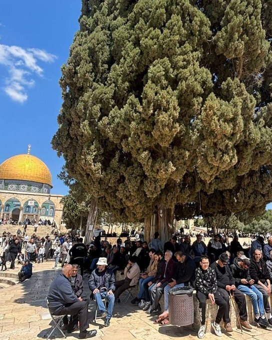 Israel seeks to strip Islamic endowments of authority, Judaize Aqsa - Quds Foundation