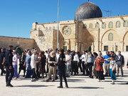 Dozens of hordes of extremist Jewish settlers defile Aqsa Mosque under police guard