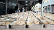 Photos: Al‑Abbas Shrine Continues Major Relief Efforts in Lebanon, Serving 5,000 Displaced Daily