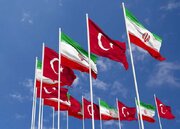239 Turkish Professors condemn US-Israeli attacks on Iranian universities
