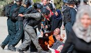 Over 80 British Diplomats Press UK to Review Investment Ties, Citing HR Violations in Occupied Territories