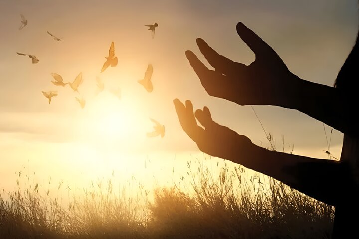 چرا خدا انسان را مجبور به عبادت نکرد؟