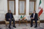 عراقچی اور پاکستانی وزیر داخلہ کی ملاقات؛ ایران–امریکہ مذاکراتی عمل پر گفتگو