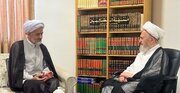 Grand Ayatollah Sobhani Praises Supreme Assembly of Islamic Wisdom in High‑Level Meeting