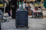 استقبال العتبة العلوية المقدسة لأُسر شهداء مدرسة الشجرة الطيبة الإيرانية
