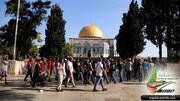 مستوطنون يهود متطرفون يقتحمون ساحات المسجد الأقصى تحت حراسة أمنية مشددة