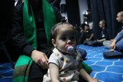 Photos: Muharram Mourning Ceremony at Al-Kawthar center in The Hague, Netherlands
