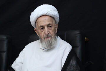 آیت‌الله سبحانی: قدرت معنوی تشیع در کنار سالار شهیدان اباعبدالله الحسین(ع) شکل گرفته است/ مبلغان اربعین پیام عاشورا را تبیین کنند