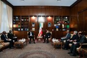Araghchi apongeza msimamo wa Jamhuri ya Congo wa kuiunga mkono Iran katika majukwaa ya kimataifa