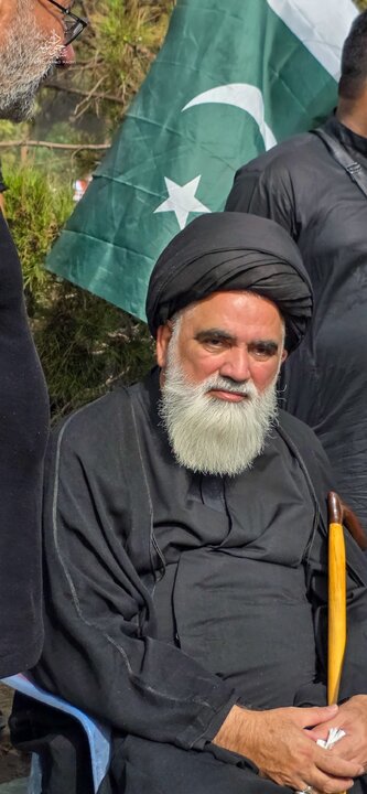 Naqvi