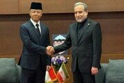 Waziri wa Mambo ya Nje wa Iran Akutana na Mwenzake wa Indonesia mjini Mashhad