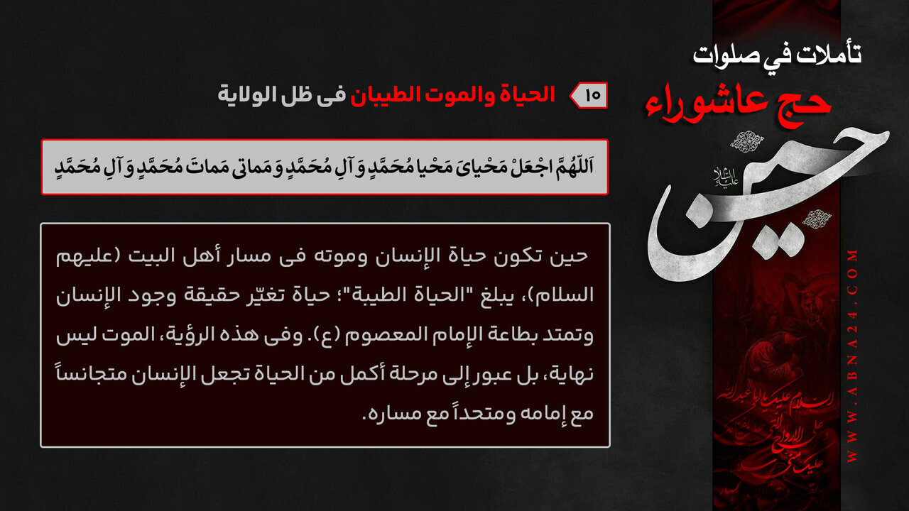 إنفوغراف / الحياة والموت الطيبان في ظل الولاية - 10