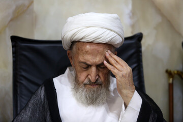آیت‌الله سبحانی: اربعین تجلی‌گاه قدرت معنوی تشیع است