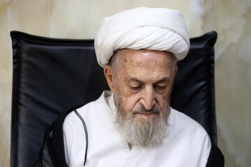 آیت الله شبیری زنجانی از ارکان حوزه‌های علمیه بود