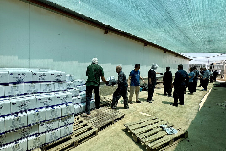 Photos: Efforts of Hazrat Masoumeh Shrine's Servants to Prepare Arbaeen Mawkib at Pillar 1080