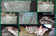 IRGC intercepts, destroys hostile cruise missile in southern Iran