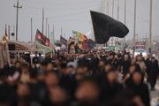 Фото: Әл-Ҹүбәјш рајонунда 20 ил әрзиндә минләрлә зәввара хидмәт ҝөстәрән иншаат ишчиси, ҝүндәлик 75 әдәд сини долусу мејвә пајлајыр