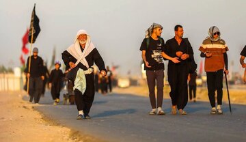 عکس خبری/ زائران اربعین در مسیر کربلا