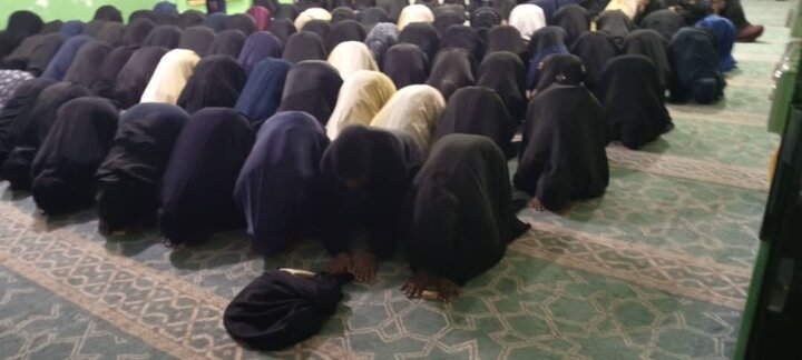 Majlis