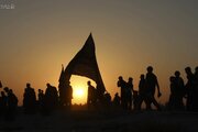Photos: With their hearts and souls, the Hussaini pilgrims head toward holy Karbala