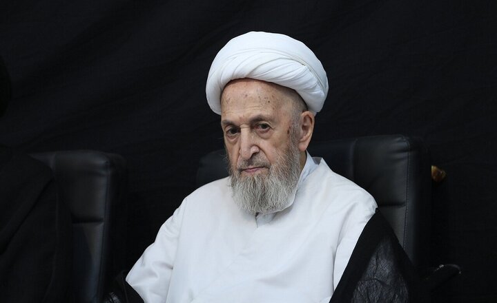 آیت‌الله سبحانی: اربعین تجلی‌گاه قدرت معنوی تشیع است/ لزوم تبیین مستند معارف عاشورا، مکتب زیارت و پیوند پیام نهضت حسینی با نیازهای امروز