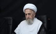 Grand Ayatollah Sobhani: Arbaeen procession is manifestation of spiritual power of Shia Islam