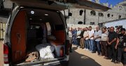 Gaza Death Toll Rises to 73,333 as Health Ministry Reports New Casualties