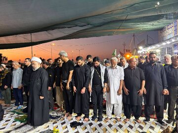 Photos: Senior Pakistani Shia Cleric "Allama Shahidi" in 'Najaf to Karbala' Arbaeen Walk