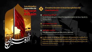 El testimonio sobre el glorioso destino del Imam Huséin (P) - 8