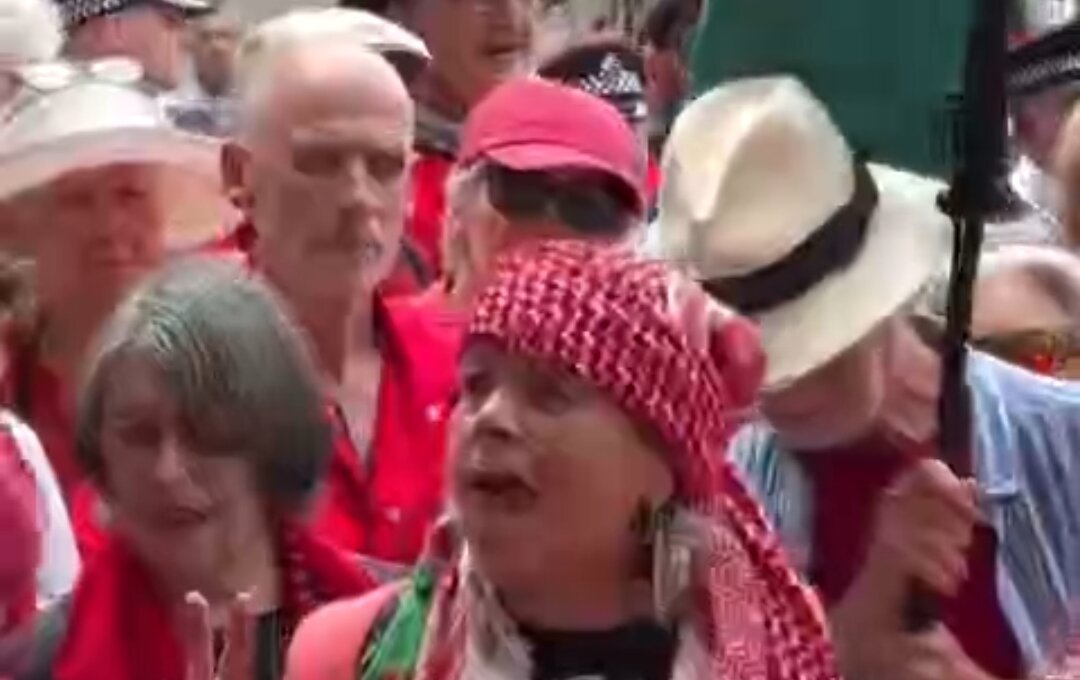 Video| Malawakang Pag-aresto sa mga Propesor na Laban sa Genocide ng Metropolitan Police sa Sentro ng London