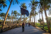 تقرير مصور/ زوار الأربعين يواصلون مسيرهم نحو كربلاء المقدسة
