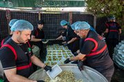 Al-Abbas Hospitality Department doubles its services provided to visitors of Arbaeen