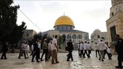 Dozens of extremist settlers defile Aqsa Mosque