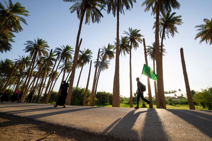 تقرير مصور/ زوار الأربعين يواصلون مسيرهم نحو كربلاء المقدسة
