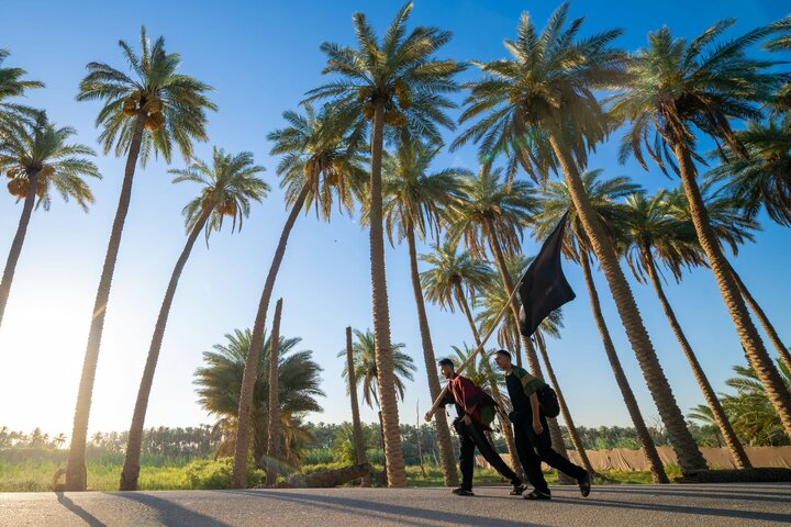 تقرير مصور/ زوار الأربعين يواصلون مسيرهم نحو كربلاء المقدسة