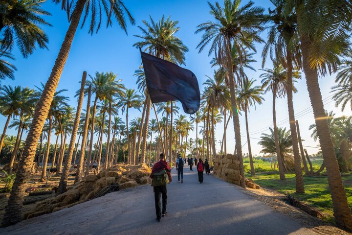 تقرير مصور/ زوار الأربعين يواصلون مسيرهم نحو كربلاء المقدسة