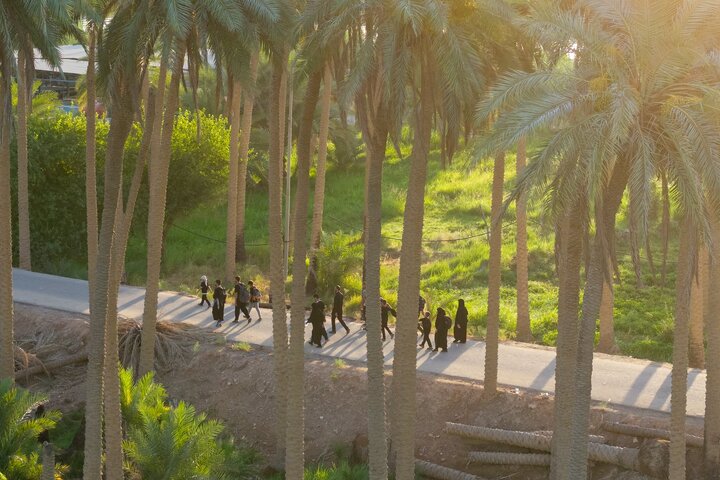 تقرير مصور/ زوار الأربعين يواصلون مسيرهم نحو كربلاء المقدسة