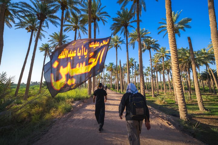 تقرير مصور/ زوار الأربعين يواصلون مسيرهم نحو كربلاء المقدسة