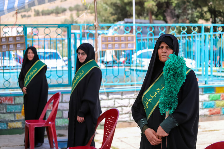 Photos: Imam Reza (a.s.) Mawkib in Hamedan
