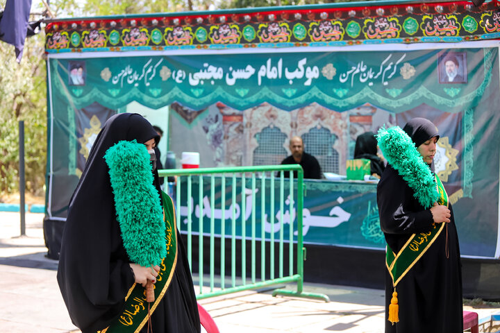 Photos: Imam Reza (a.s.) Mawkib in Hamedan