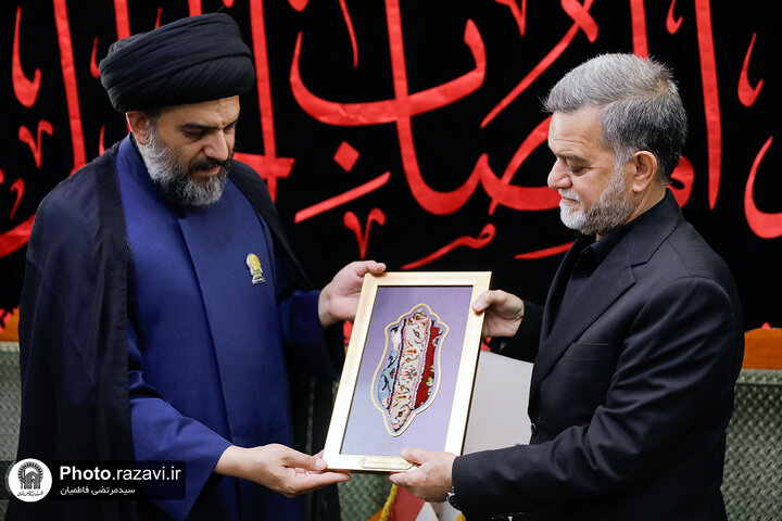Photos: Caravan of "Envoys of Compassionate Imam (AS)" attends at Imam Ali Holy shrine
