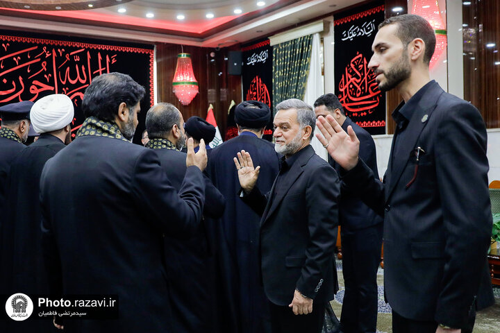 Photos: Caravan of "Envoys of Compassionate Imam (AS)" attends at Imam Ali Holy shrine