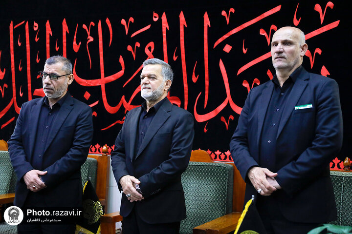 Photos: Caravan of "Envoys of Compassionate Imam (AS)" attends at Imam Ali Holy shrine