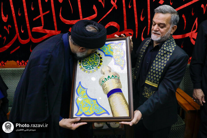 Photos: Caravan of "Envoys of Compassionate Imam (AS)" attends at Imam Ali Holy shrine